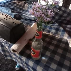 Meet your Posher, Janelle